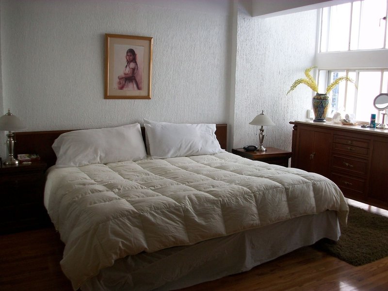 Steinhaus Hamburgo in Mexiko-Stadt, Mexiko-Stadt (Mexico) Sehenswürdigkeiten
