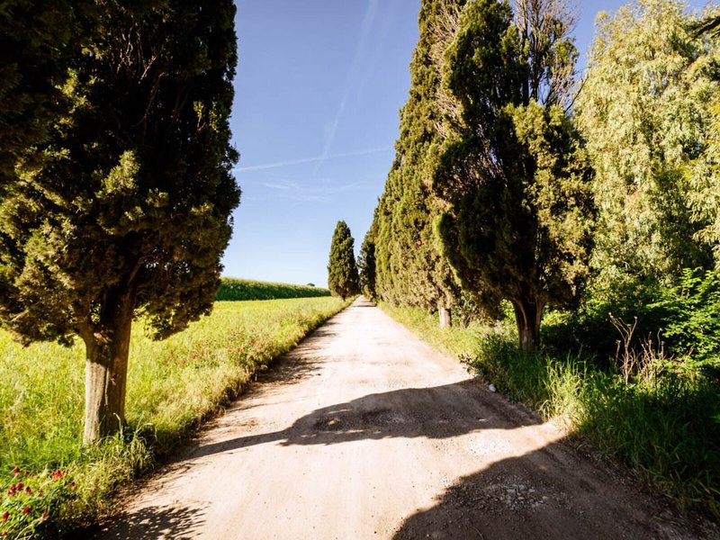 Landschaft