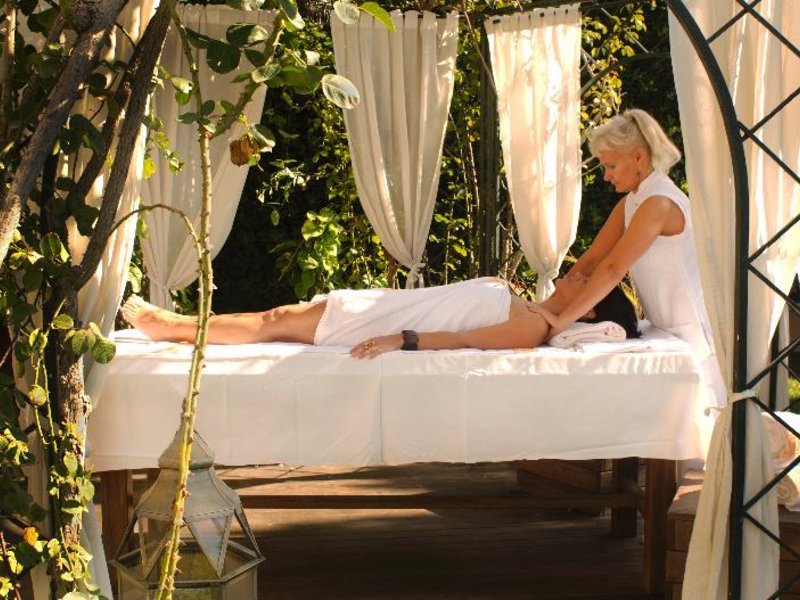 Wellness