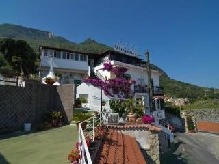 Magnolia in Ischia, Neapel Außenaufnahme