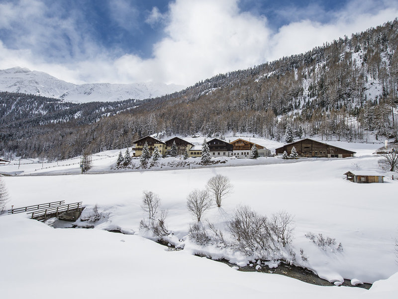 Gerstgras in Kurzras, Bolzano Außenaufnahme