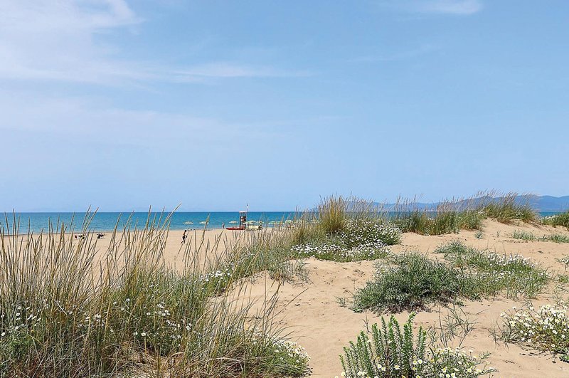 Strand
