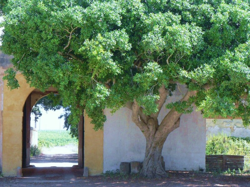 Baglio Spanò in Petrosino, Catania Außenaufnahme