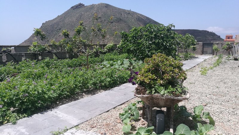 Garten