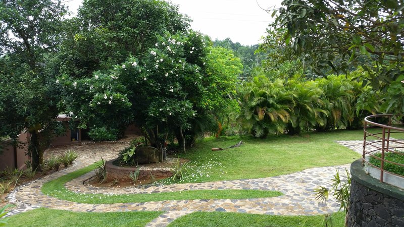 Lush Life Villa in Galle, Colombo Garten