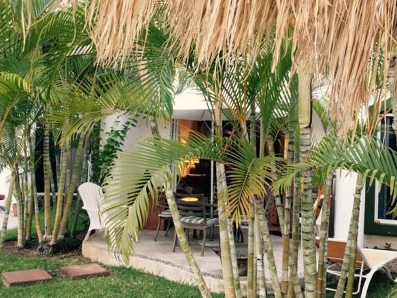 Dolce Vita Caribe B&B in Playa del Carmen, Cancun Garten