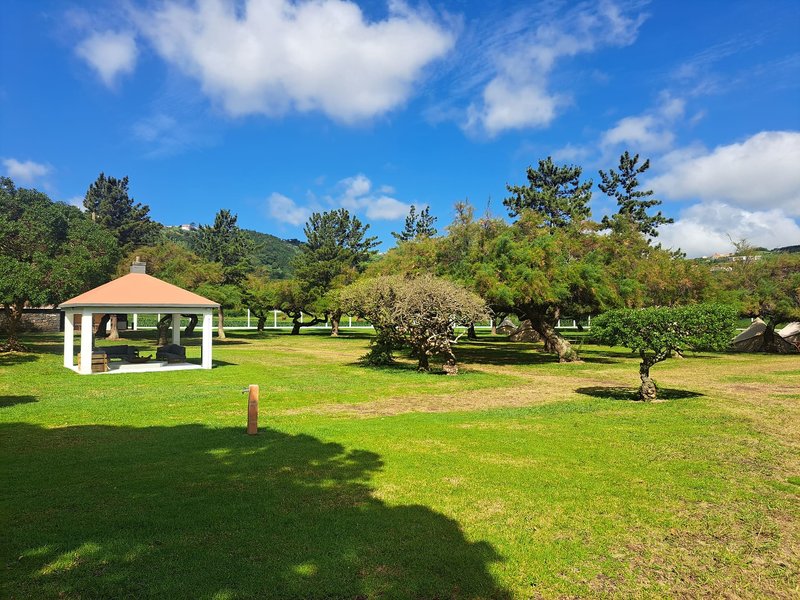 Bearsu Nature Almoxarife in Horta, Ponta Delgada (Azoren) Garten