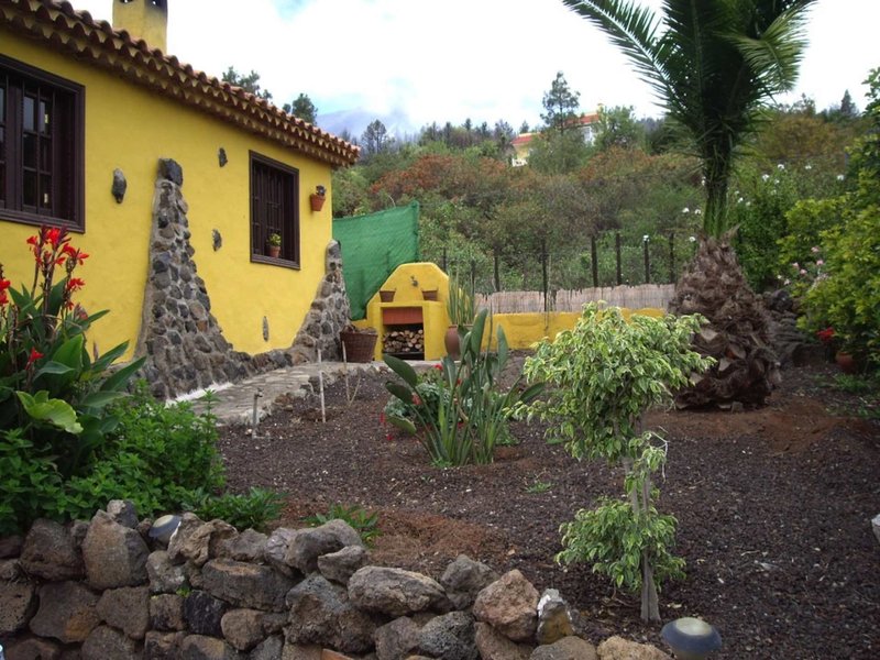 Casa Uchan/Mietwagen in Icod de los Vinos, Teneriffa S�d Garten