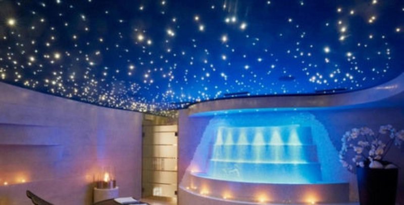 Wellness