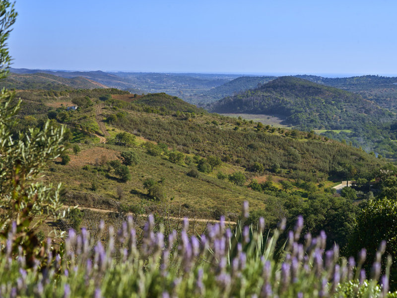 Landschaft