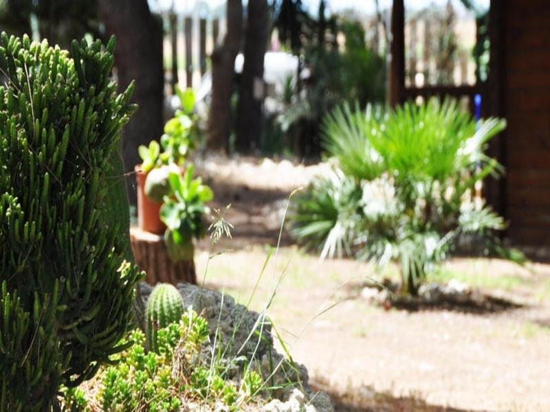 Tenuta del Barco in Pulsano, Brindisi Garten