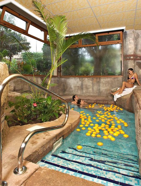 Wellness