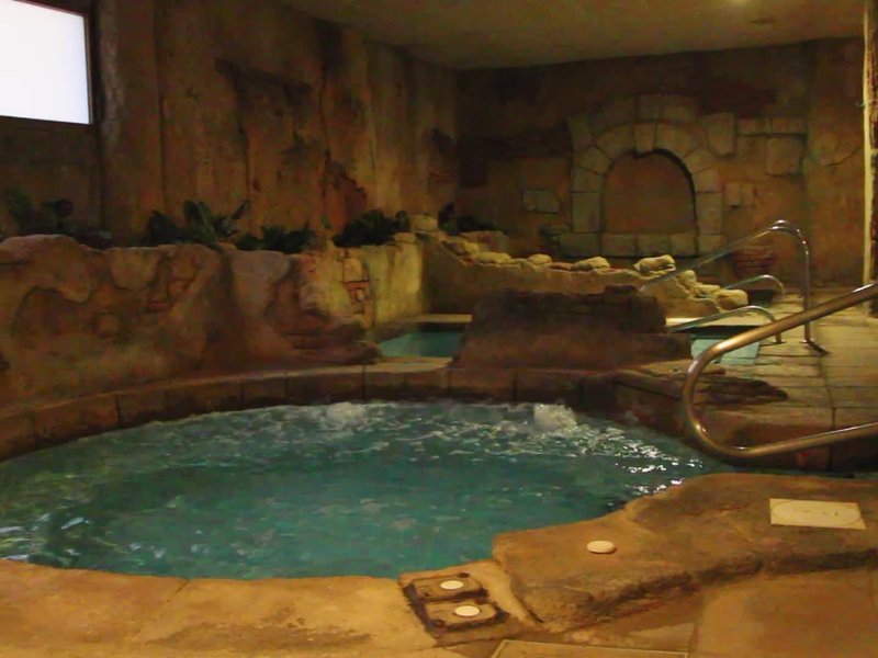 Wellness