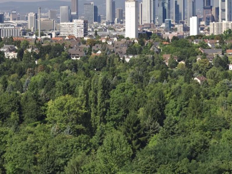 Luxor in Frankfurt am Main, Frankfurt (DE) Außenaufnahme