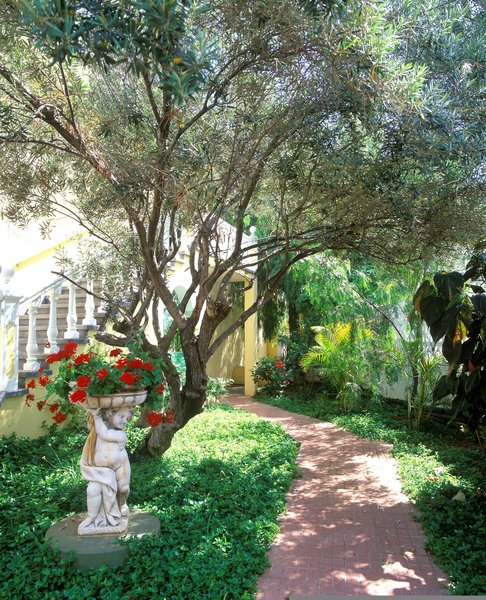 Garten