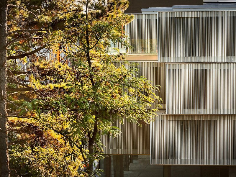 Numad Studios in San Sebastián, Bilbao Landschaft