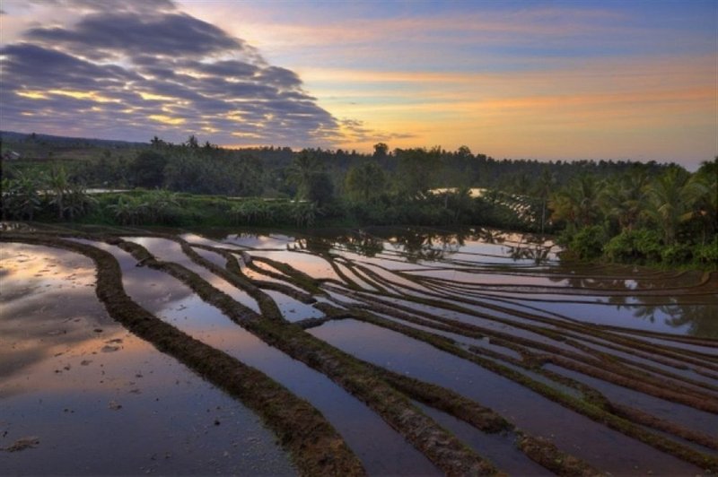 Cempaka Blimbing Villas in Pupuan, Denpasar (Bali) Landschaft