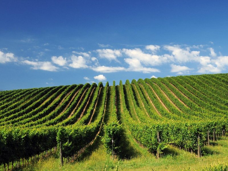 Eurorest in Conegliano, Venedig Landschaft