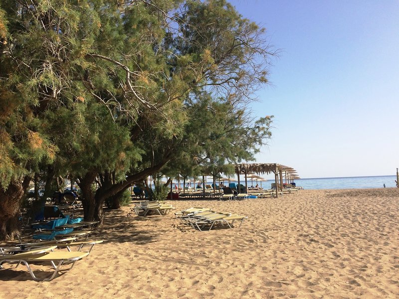 Strand