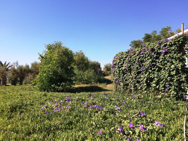 Landschaft