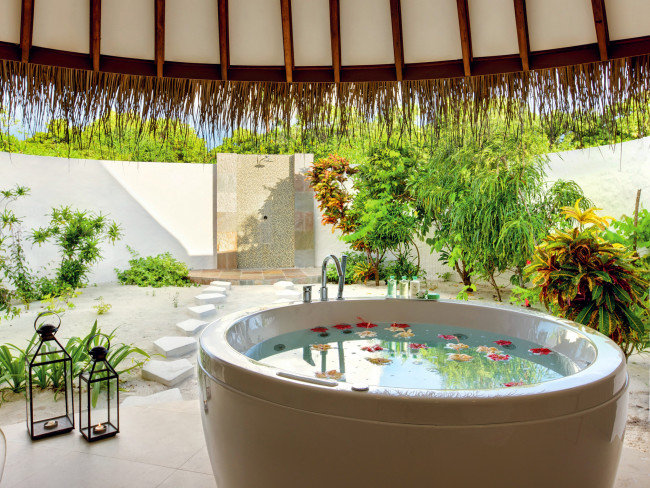 Wellness