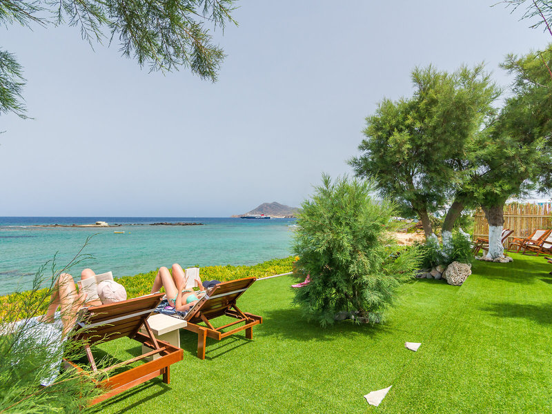 Niki-Savvas in Apollonia, Santorini Garten