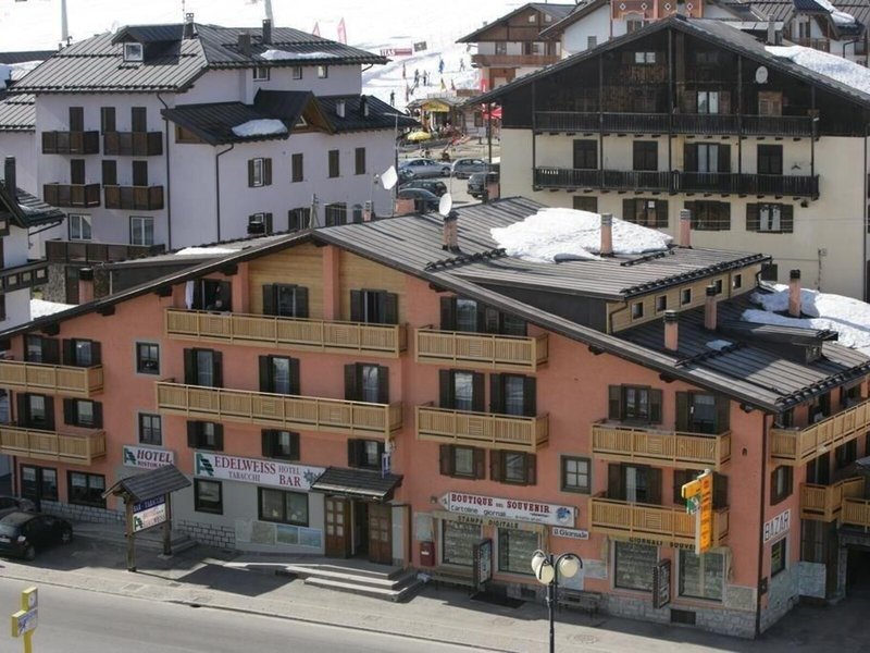 Edelweiss in Tonalepass, Verona Außenaufnahme