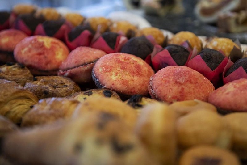 International in San Benedetto del Tronto, Venedig Tiere