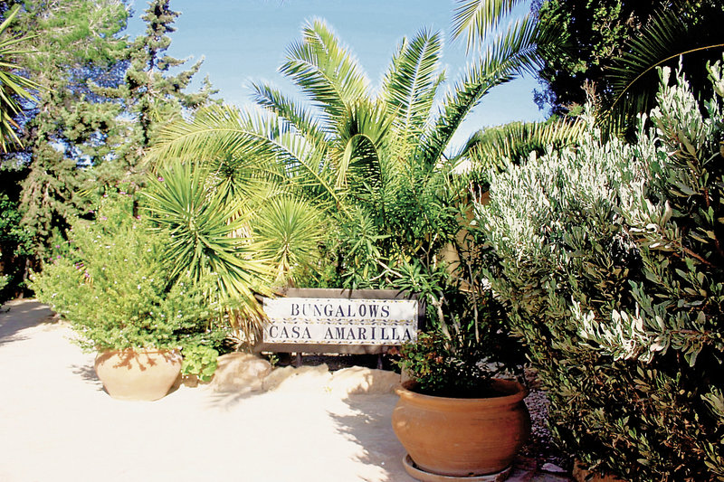 Casa Amarilla in Playa Mitjorn, Ibiza Landschaft