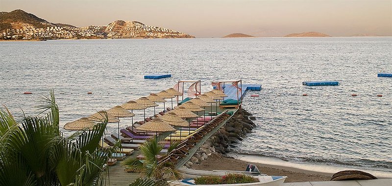 Strand