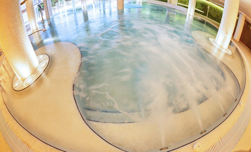 Wellness