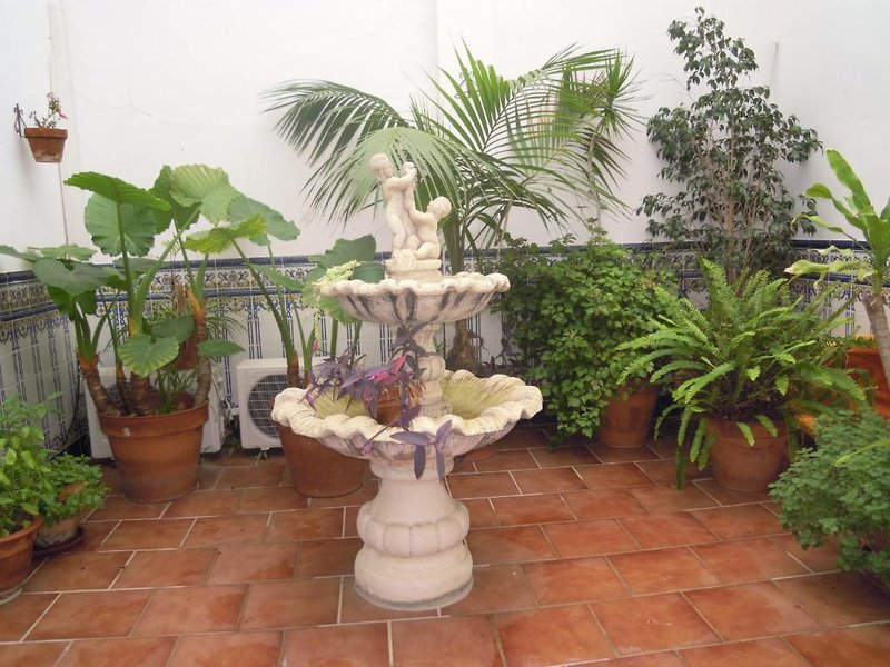 Hostal Moscatel in Málaga, Malaga Garten