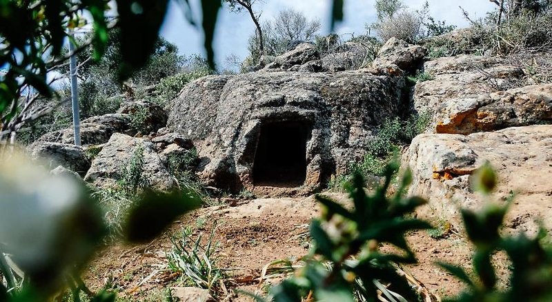Agriturismo Conca' E Janas in Dorgali, Olbia,Sardinien Tiere