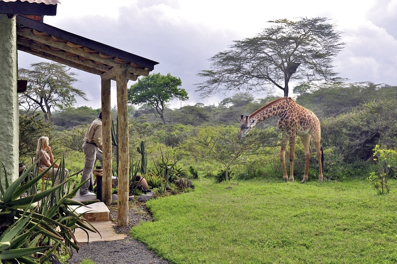 Hatari Lodge in Arusha-Nationalpark, Kilimanjaro (Tansania) Garten