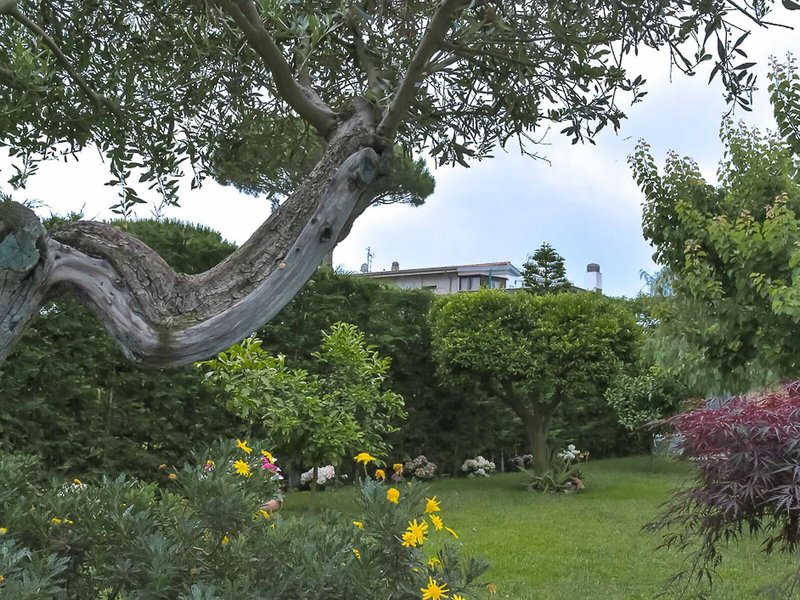 Landschaft