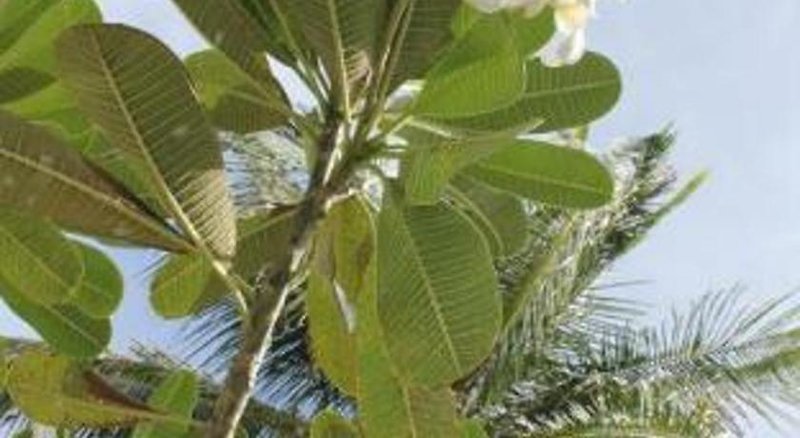 The Beach Village Resort in Sam Roi Yot, Bangkok Landschaft