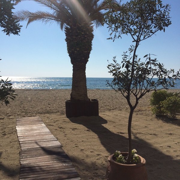 Hotel Avra in Paralia, Thessaloniki (Chalkidiki) Landschaft