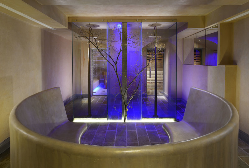 Wellness