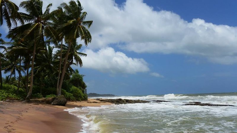 Strand
