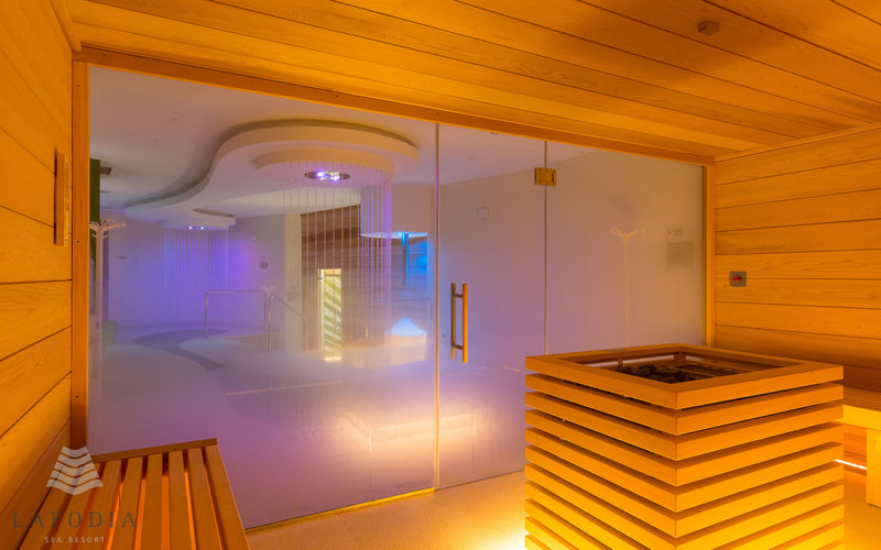 Wellness