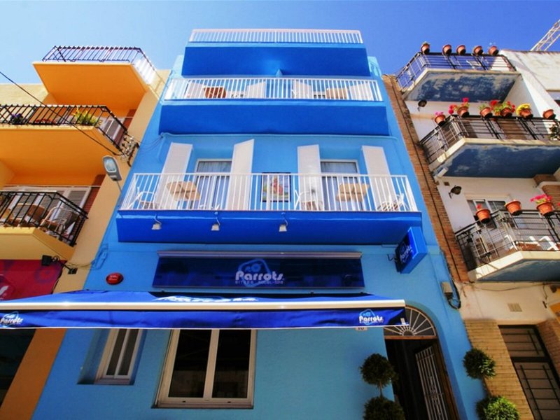Parrots in Sitges, Barcelona Außenaufnahme