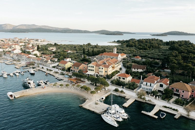Spongiola in Brodarica, Split (Kroatien) Strand