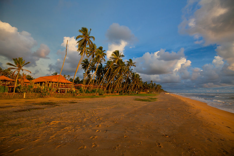 Strand