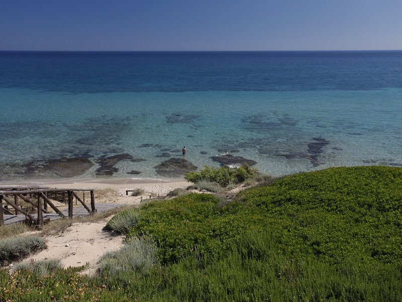 Strand