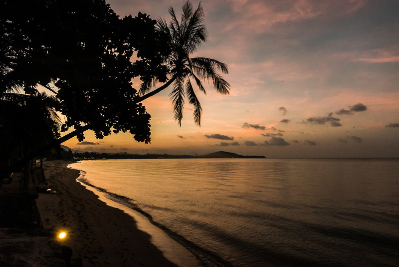 Strand