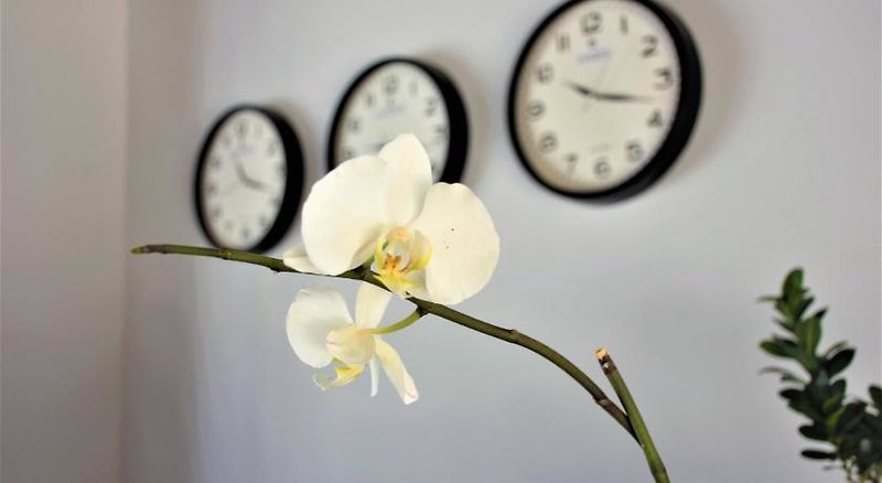 Modern Life Bodrum Otel in Bodrum, Bodrum Landschaft