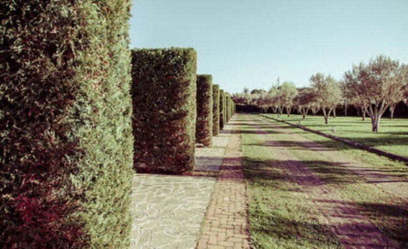 Garten