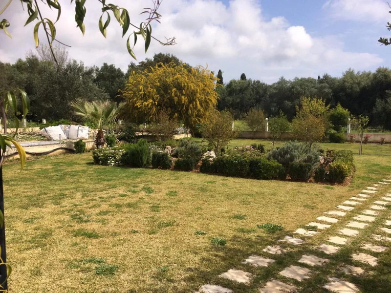 Sunny Studios in Svoronata, Kefalonia Garten