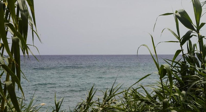 Landschaft