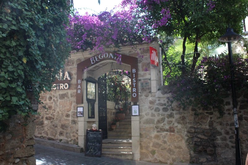 Terasse